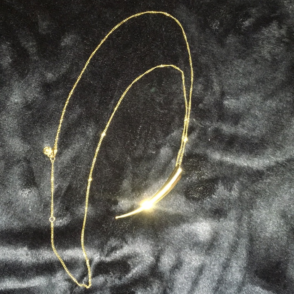 Michael Kors Horn Pendant Necklace